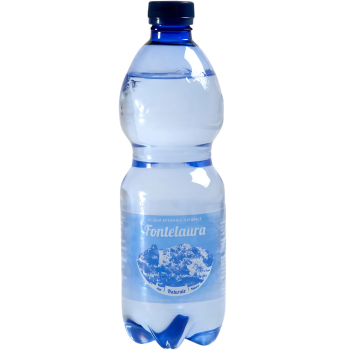 Fontelaura - Wasser ohne Kohlensäure 500ml